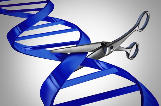 genetic scissors