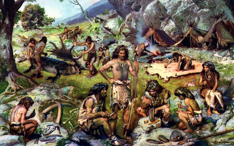 Homo sapiens