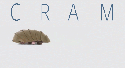cram robot
